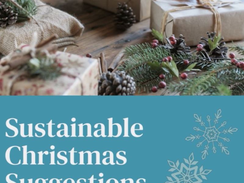 Sustainable Christmas Suggestions